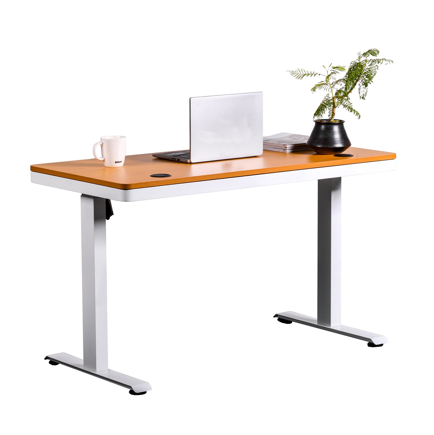 Escritorio Eléctrico Elevable Oak Pro