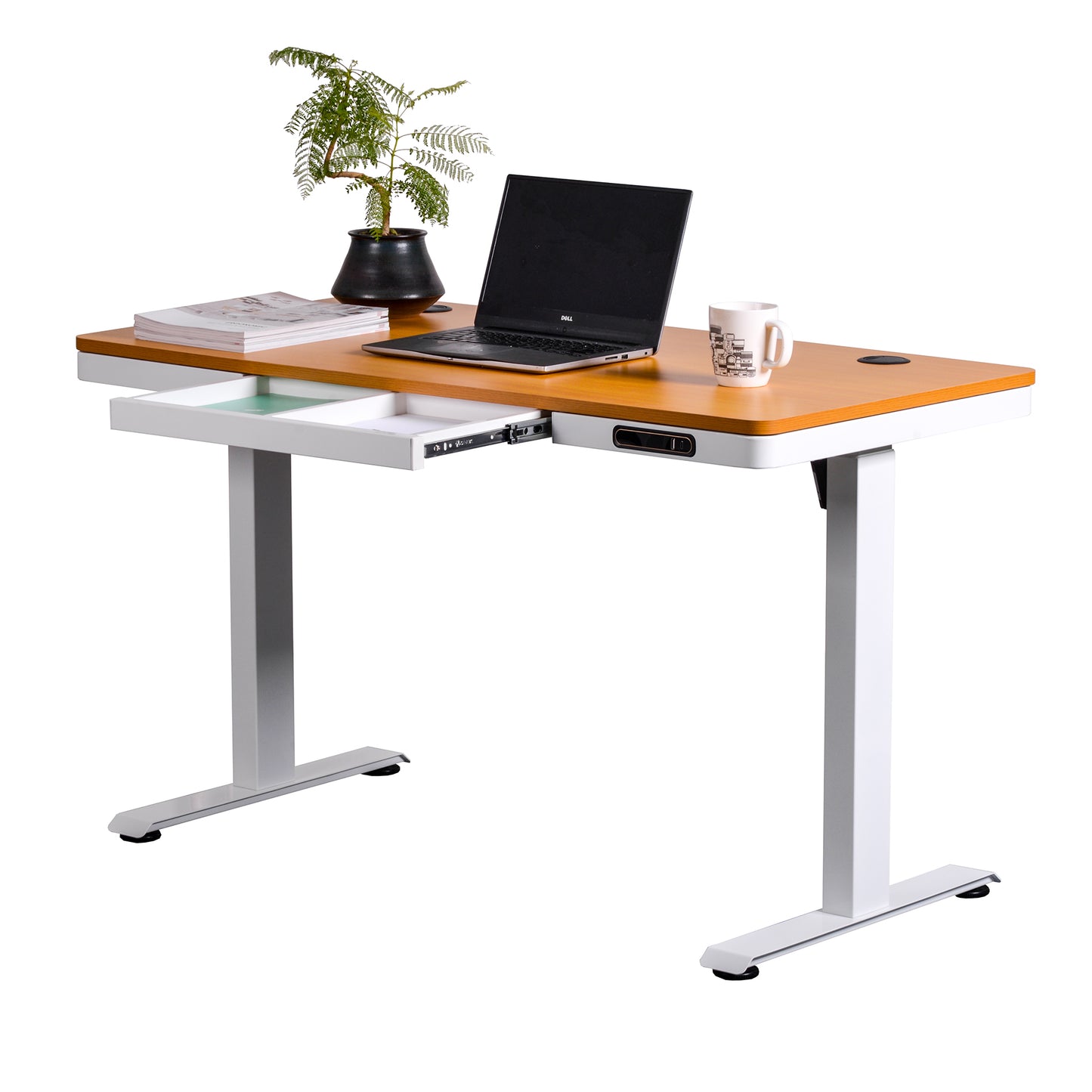 Escritorio Eléctrico Elevable Oak Pro