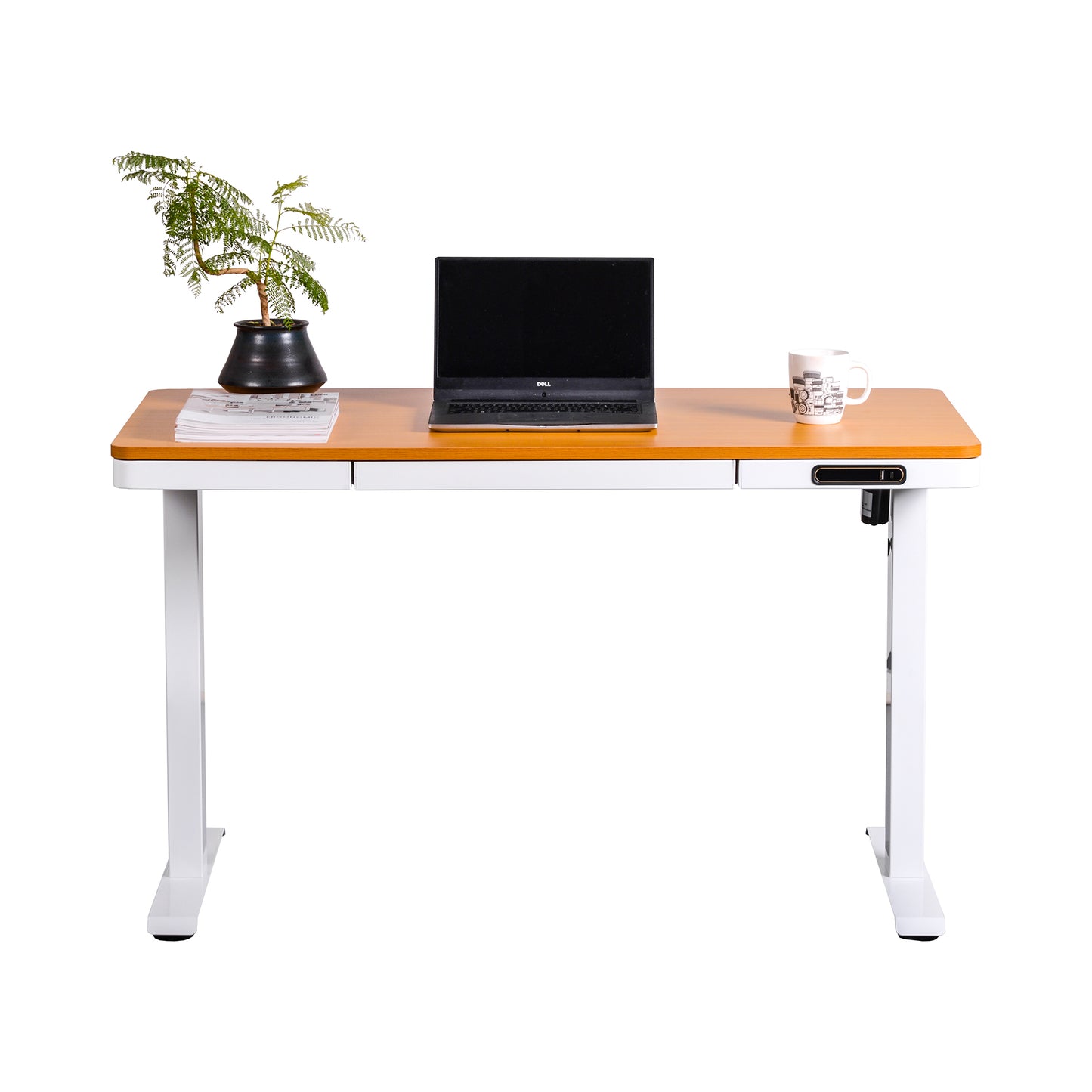 Escritorio Eléctrico Elevable Oak Pro