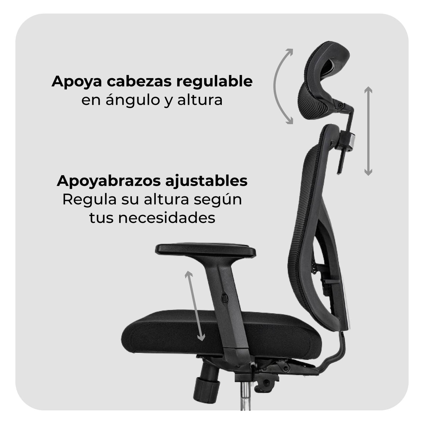Silla de Escritorio Ergonómica Ankara Black