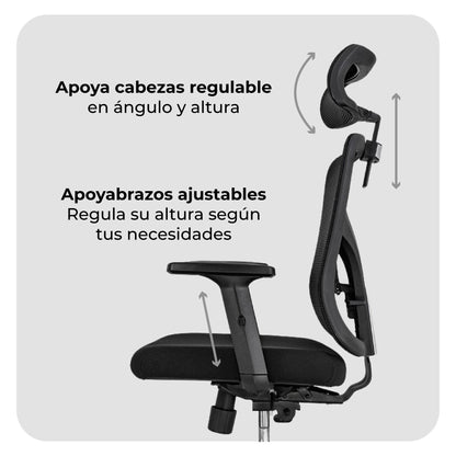 Silla de Escritorio Ergonómica Ankara Black