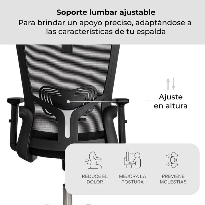 Silla de Escritorio Ergonómica Delphi