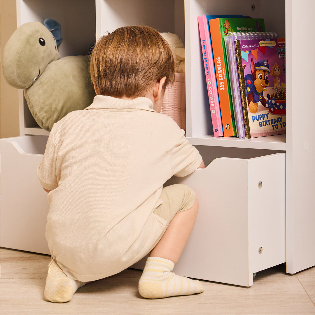 Biblioteca Organizadora Infantil Saga