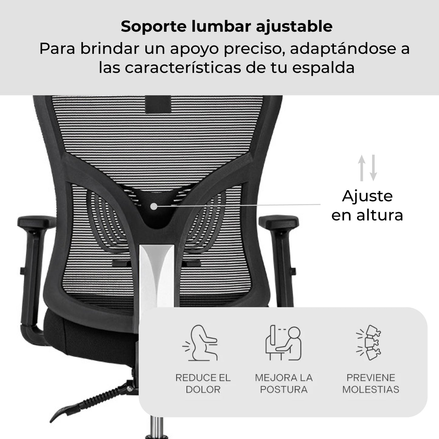 Silla de Escritorio Ergonómica Ankara Silver